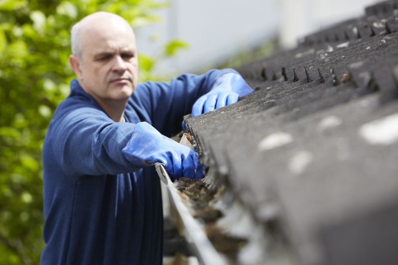 Clogged Gutter Clearing in Fredericksburg, VA