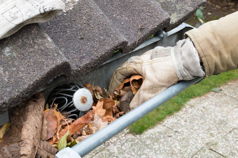 Gutter Pine Needle Removal in Annapolis, MD